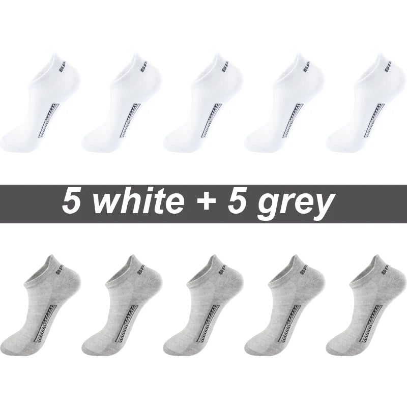 44740228677803|44740228710571